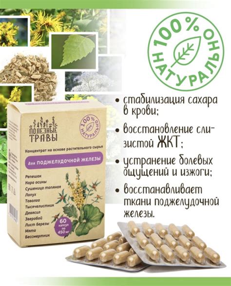 Витаминный состав жмыха лопуха
