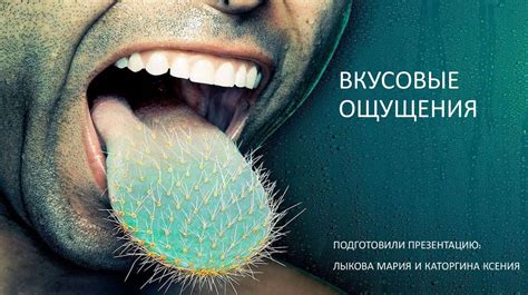 Вкусовые ощущения