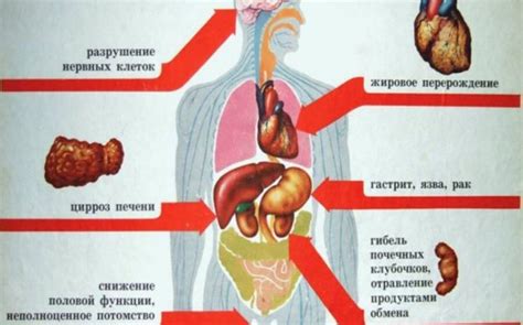 Влияние на органы