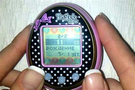Влияние неверного времени на тамагочи