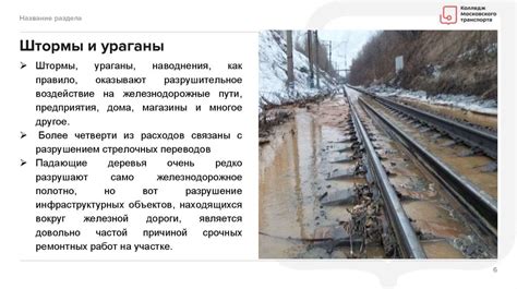 Влияние погодных условий на состояние меха