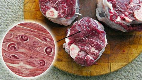 Влияние сны о сыром мясе в воде на подсознание