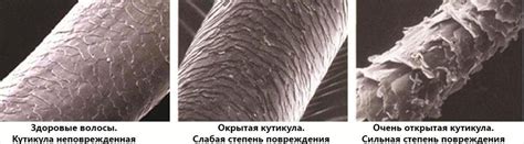 Влияние состояния волос