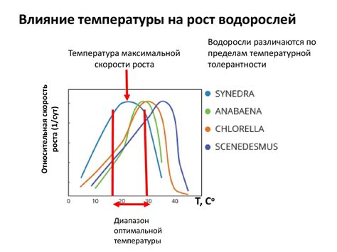Влияние температуры на качественную адгезию