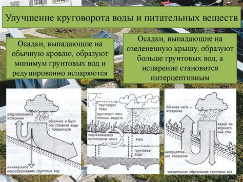 Влияние удаления краски на экологию