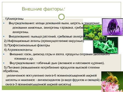 Внешние раздражители и аллергены
