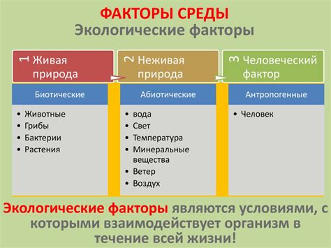 Внешние факторы окружающей среды