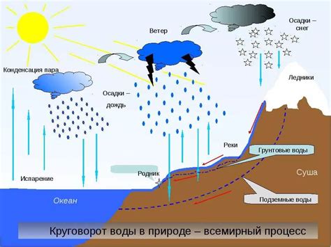 Вода и влажность влияют на размножение чистотела