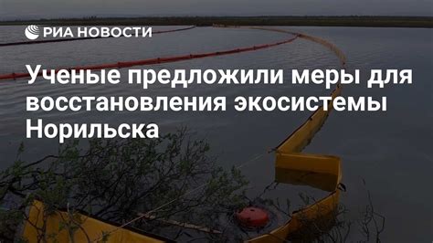 Возможные меры для восстановления морской экосистемы