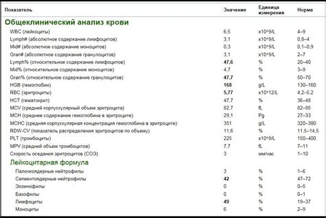 Возможные проблемы при понижении уровня полихроматофилов в крови