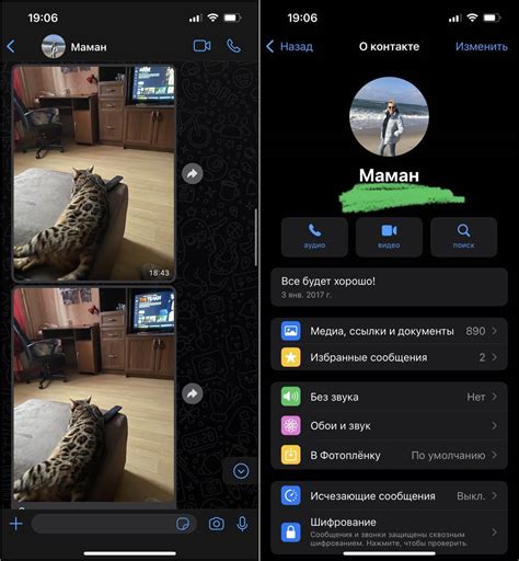 Вопрос в квадрате в ватсапе: важные моменты