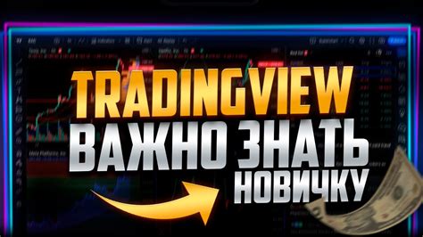 Выбор брокера для подключения трейдинг вью: важные факторы
