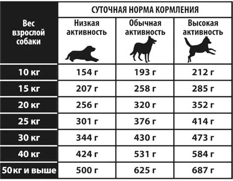 Выбор корма для повышения веса овчарки