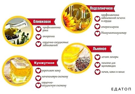 Выбор эффективных растительных масел