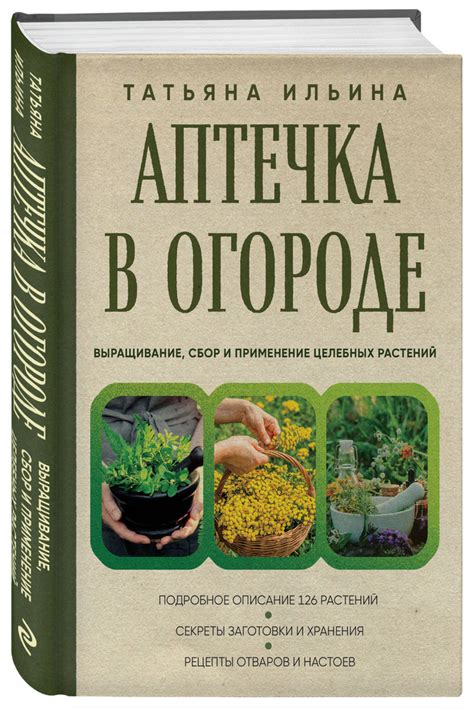 Выращивание и сбор