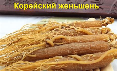 Где купить настоящий женьшень
