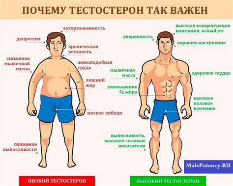 Гормональный фон и тонкое запястье у мужчин