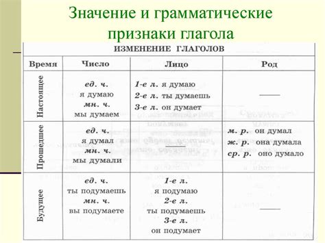 Грамматические особенности притяжательных глаголов