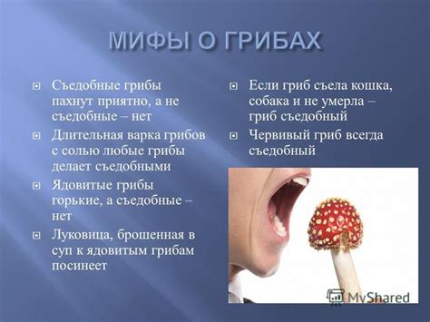 Длительная варка