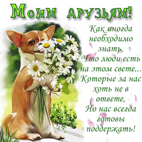 Добавьте шуточные фотографии