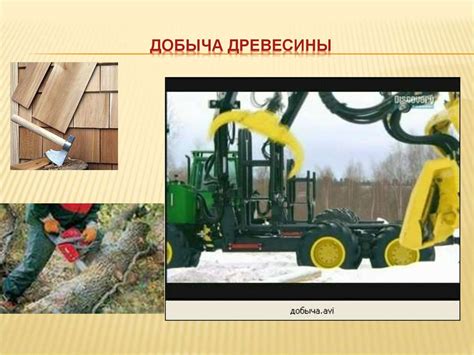 Добыча и обработка древесины