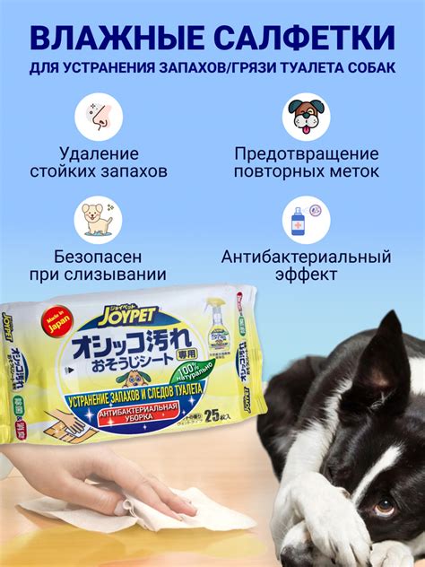 Домашние рецепты для удаления следов и запахов
