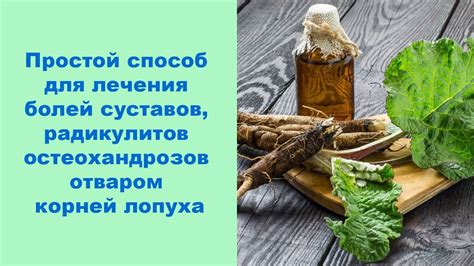 Жмых лопуха для лечения суставов