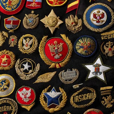 Знаки предстоящих родов у шпица: последние сигналы о скором появлении малышей