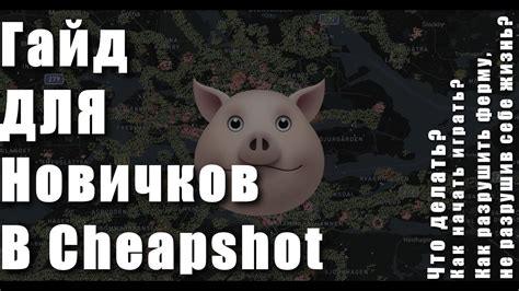 Знакомство с интерфейсом и главными механиками игры