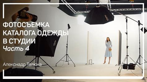 Идеи для съемок с псами-актерами