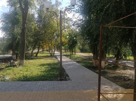 Идеи и концепции для создания аллеи
