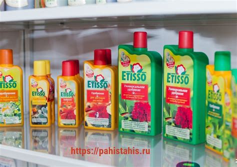 Идея 5: Использование для удобрения растений