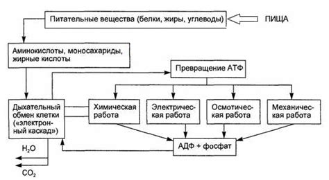 Избегание слишком высокой мощности для сохранения питательных веществ
