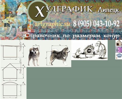 Измерение размеров собаки
