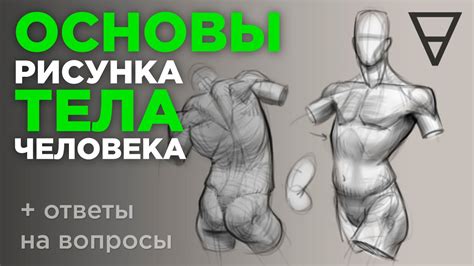 Изучение анатомии люльки