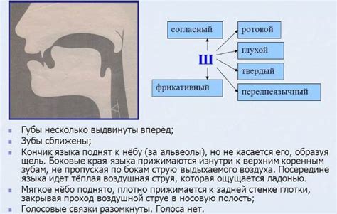 Изучение артикуляции и произношения