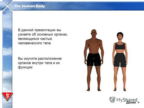 Изучите их расположение и функции