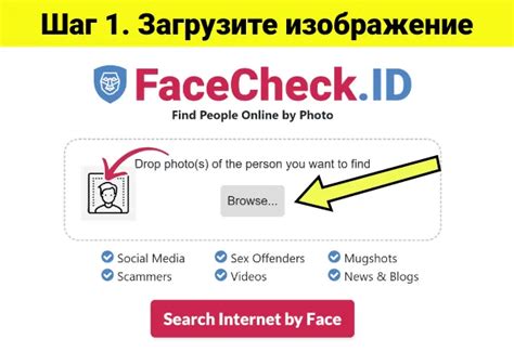 Изучите результаты поиска и перейдите на сайты с информацией о порноактрисах