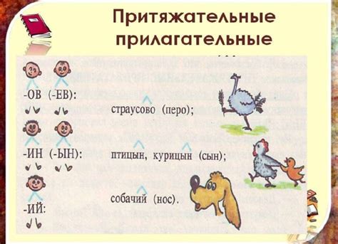 Имена прилагательные: особенности и правила использования
