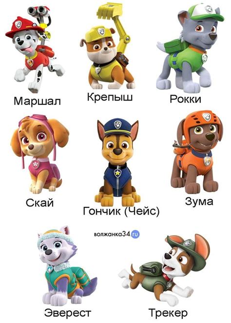 Имена собаки из любимого мультфильма