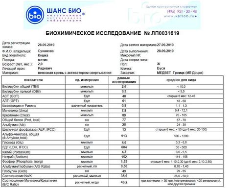 Интерпретация результатов анализа уровня альбумина и глобулина у собаки