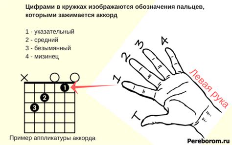 Использование аккорда и расположение пальцев