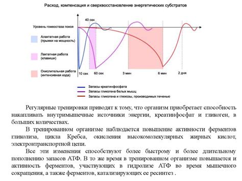 Использование изотоника после интенсивной тренировки