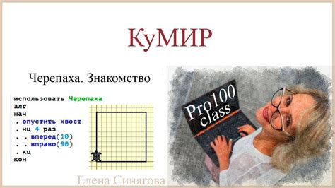 Использование кумира Черепахи: основные команды и примеры