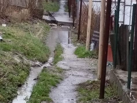 Исторические примеры снов о покойнике в грязной воде