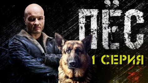История имени "Пес кино"