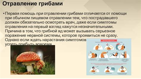 Какие вредные вещества образуются при пищевом отравлении грибами