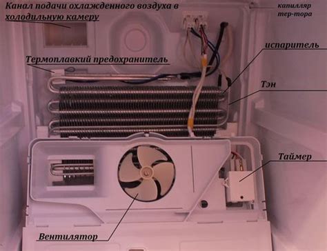 Какие могут возникнуть проблемы с мотором и компрессором холодильника Дексп, и как их устранить