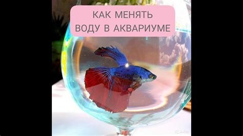 Какую реакцию имитация воды вызывает у рыбок