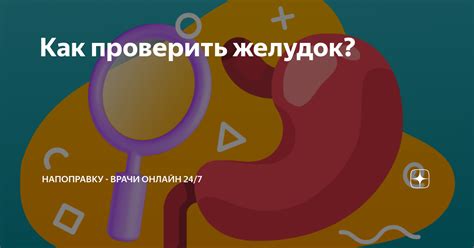 Как безопасно проверить желудок кота на наличие иголки